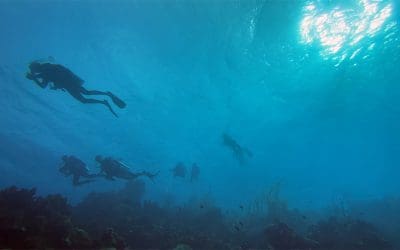 Diving 1000 Steps in Bonaire
